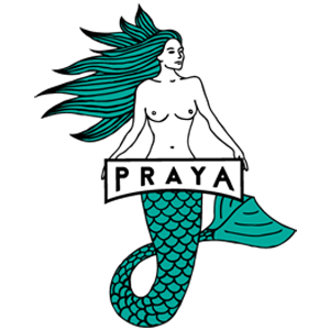 Cerveja Praya